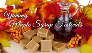 Maple Syrup Festivals