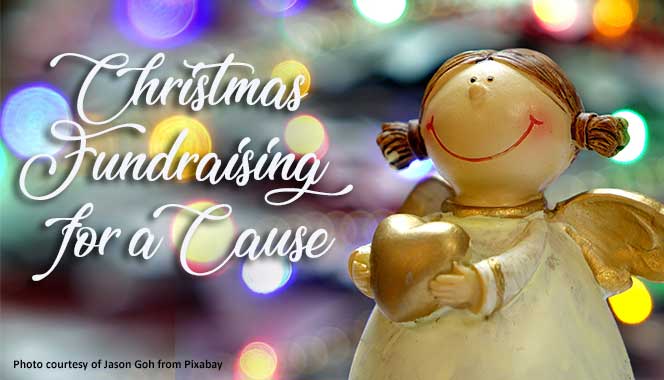 Christmas Fundraising for a Cause