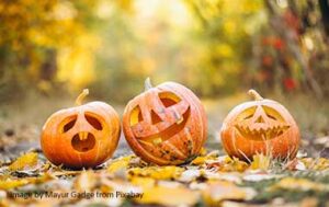 The Great Pumpkin Trail at Hendrie Park