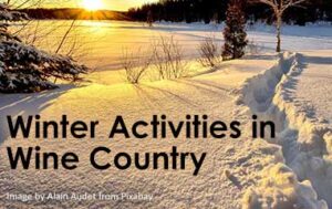 Top 5 Winter Activities in Southern Ontario’s Wine Country