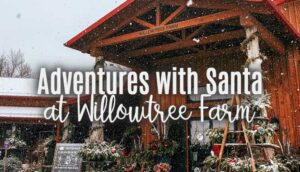 Willowtree Farm: Adventures with Santa – A Magical Holiday Experience