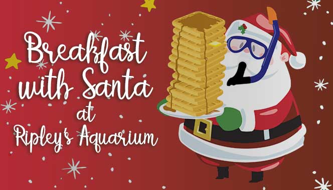 Breakfast with Santa at Ripley’s Aquarium