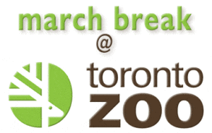 March Break at Toronto Zoo 2025 – Family Fun & Wildlife Adventures