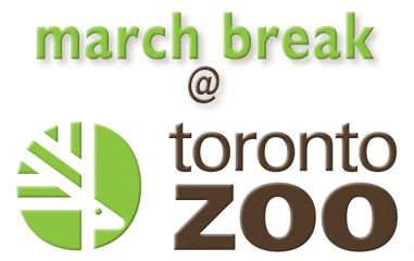 March Break at Toronto Zoo 2025 – Family Fun & Wildlife Adventures